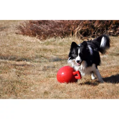 Product Jolly Pet Tug-n-Toss Dog Toy