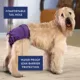 Product Top Paw Washable Diapers