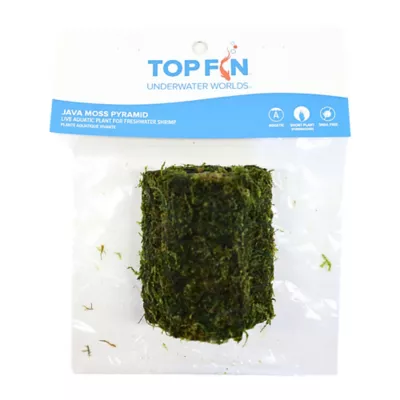 Product Top Fin® Shrimp Moss Pyramid Live Plant