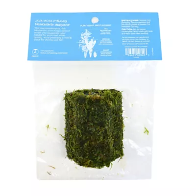 Product Top Fin® Shrimp Moss Pyramid Live Plant
