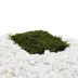 Top Fin® Live Java Moss Pad image thumbnail 1