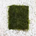 Top Fin® Live Java Moss Pad image thumbnail 2