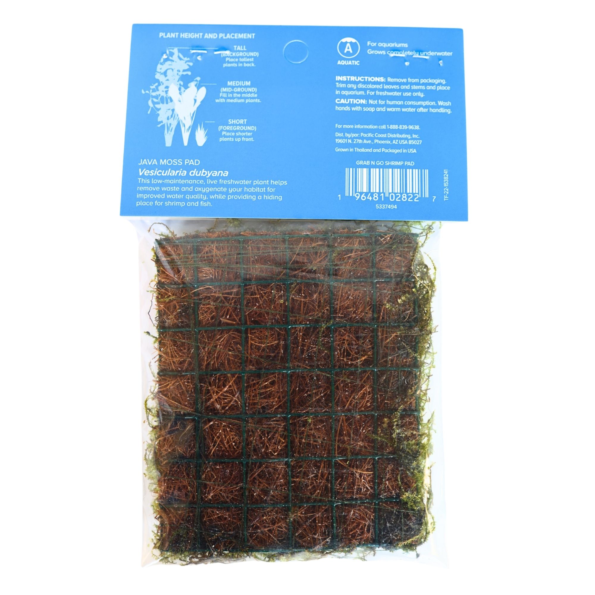 トップス GADID ANONIEM QUIMBY / MOSS size0 Top Fin® Java Moss Pad Live Plant