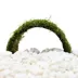 Top Fin® Shrimp Moss & Coconut Bridge Live Aquatic Plant image thumbnail 1