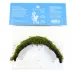 Top Fin® Shrimp Moss & Coconut Bridge Live Aquatic Plant image thumbnail 4
