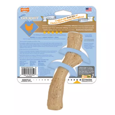 Product Nylabone® Puppy Gourmet Style Strong Chew Dog Toy - Chicken Flavor