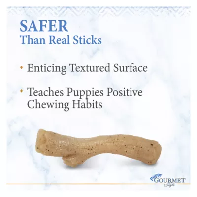 Product Nylabone® Puppy Gourmet Style Strong Chew Dog Toy - Chicken Flavor