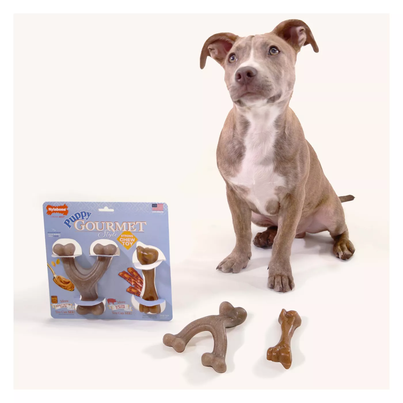 Shops petsmart puppy chew toys