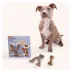 Nylabone® Puppy Gourmet Style Strong Chew Dog Toy - 2 Pack image thumbnail 3