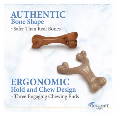 Product Nylabone® Puppy Gourmet Style Strong Chew Dog Toy - 2 Pack