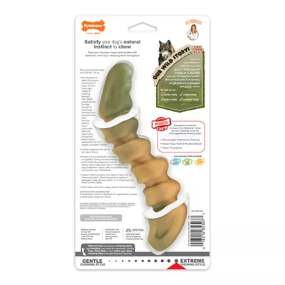 Product Nylabone® Gator Tail Alternative Power Chew Dog Toy - Chicken Flavor