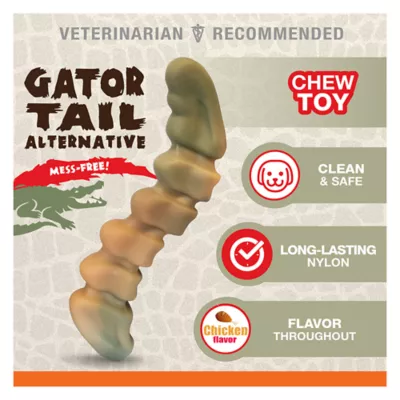 Product Nylabone® Gator Tail Alternative Power Chew Dog Toy - Chicken Flavor