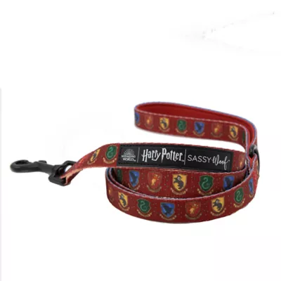 Product Sassy Woof Harry Potter Fabric Dog Leash: 5-ft long