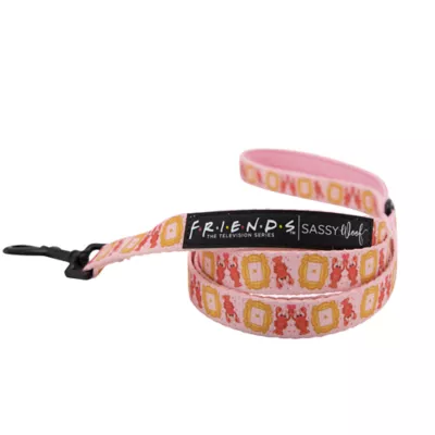 Product Sassy Woof Friends Lobster Fabric Dog Leash: 5-ft long