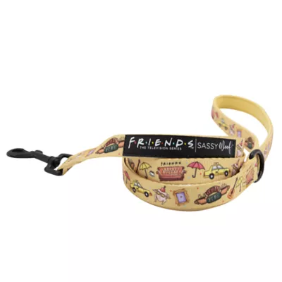 Product Sassy Woof Friends Fabric Dog Leash: 5-ft long