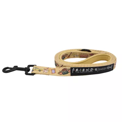 Product Sassy Woof Friends Fabric Dog Leash: 5-ft long