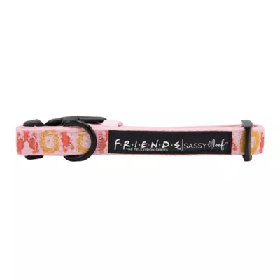 Product Sassy Woof Friends Lobster Dog Collar