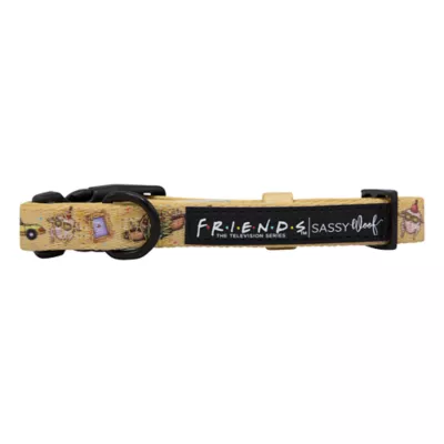 Product Sassy Woof Friends Dog Collar