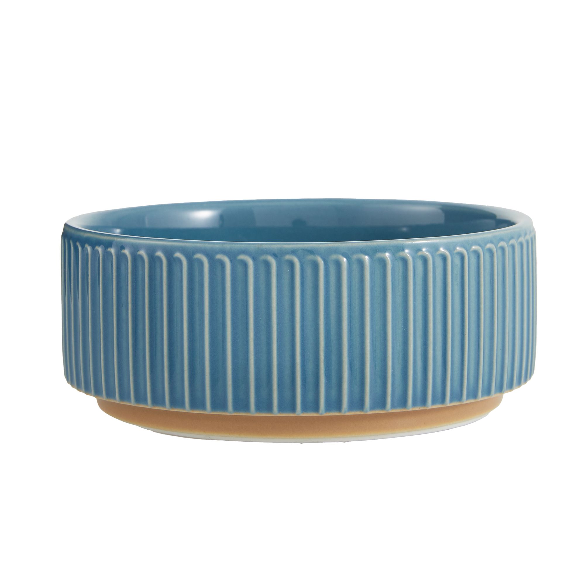 Petsmart slow shop feed cat bowl