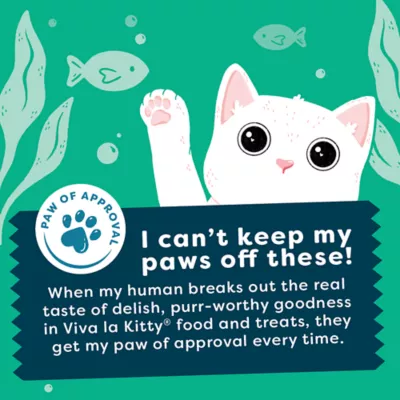 Viva La Kitty Filet Cat Treat - Natural - Image 5