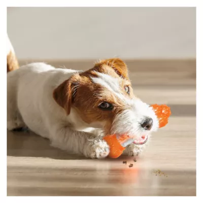 Product Nylabone® Sneaky Snacker Chew & Treat Dog Toy - Bacon Flavor