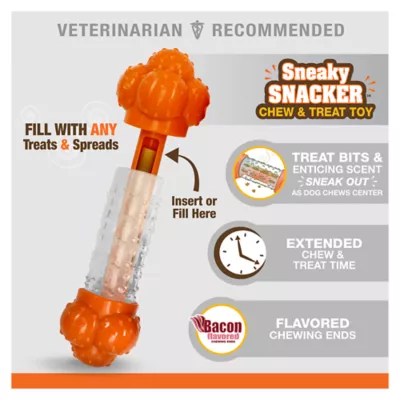 Product Nylabone® Sneaky Snacker Chew & Treat Dog Toy - Bacon Flavor