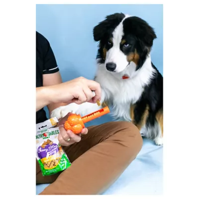 Product Nylabone® Sneaky Snacker Chew & Treat Dog Toy - Bacon Flavor