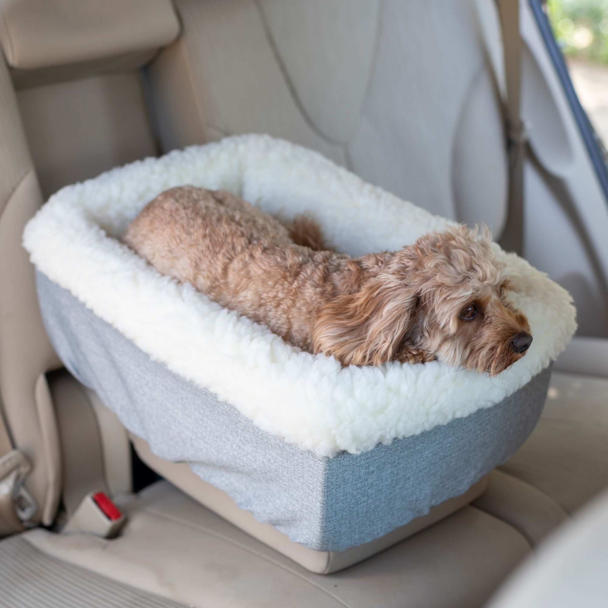 Dog car clearance seats at petsmart