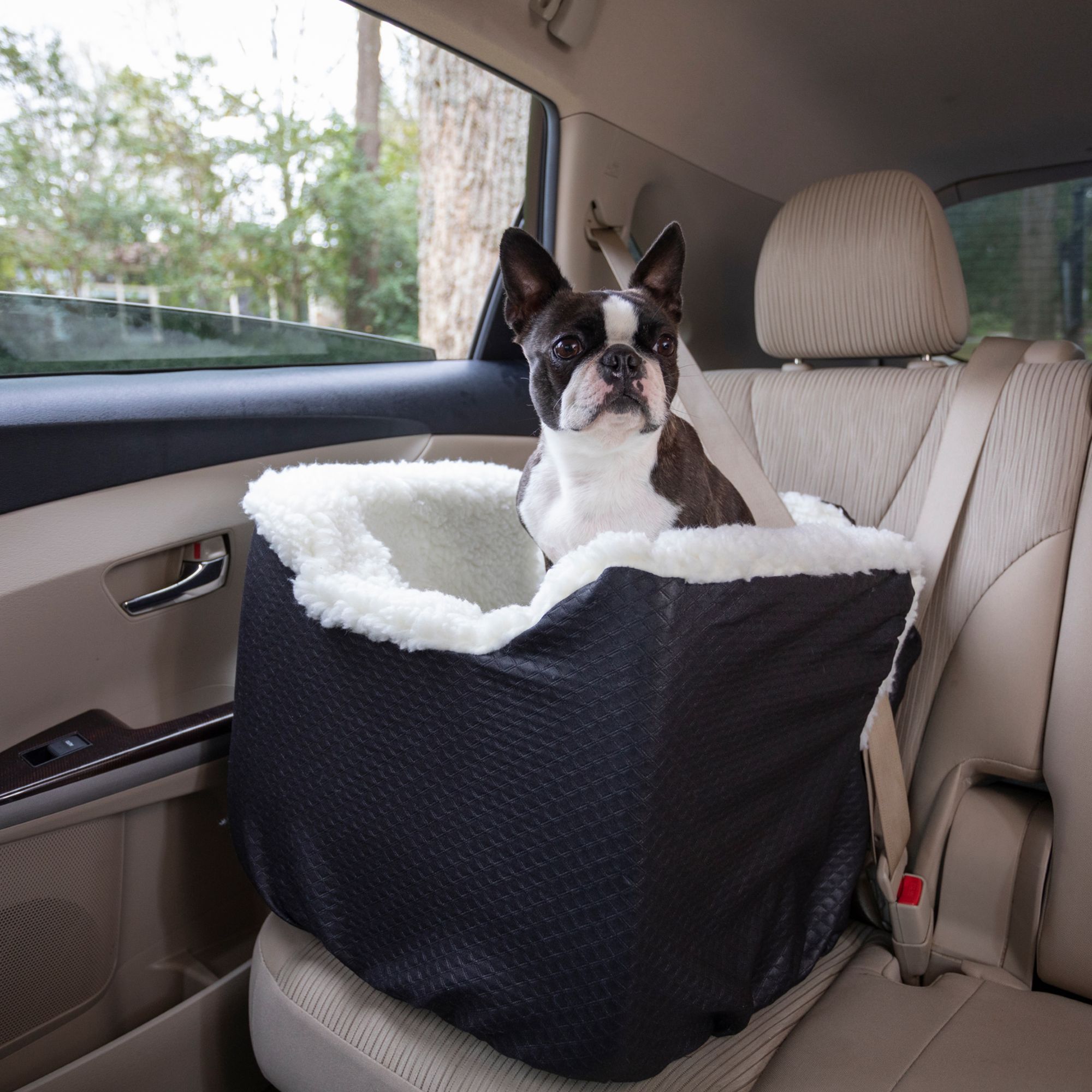 travel seats for small dogs