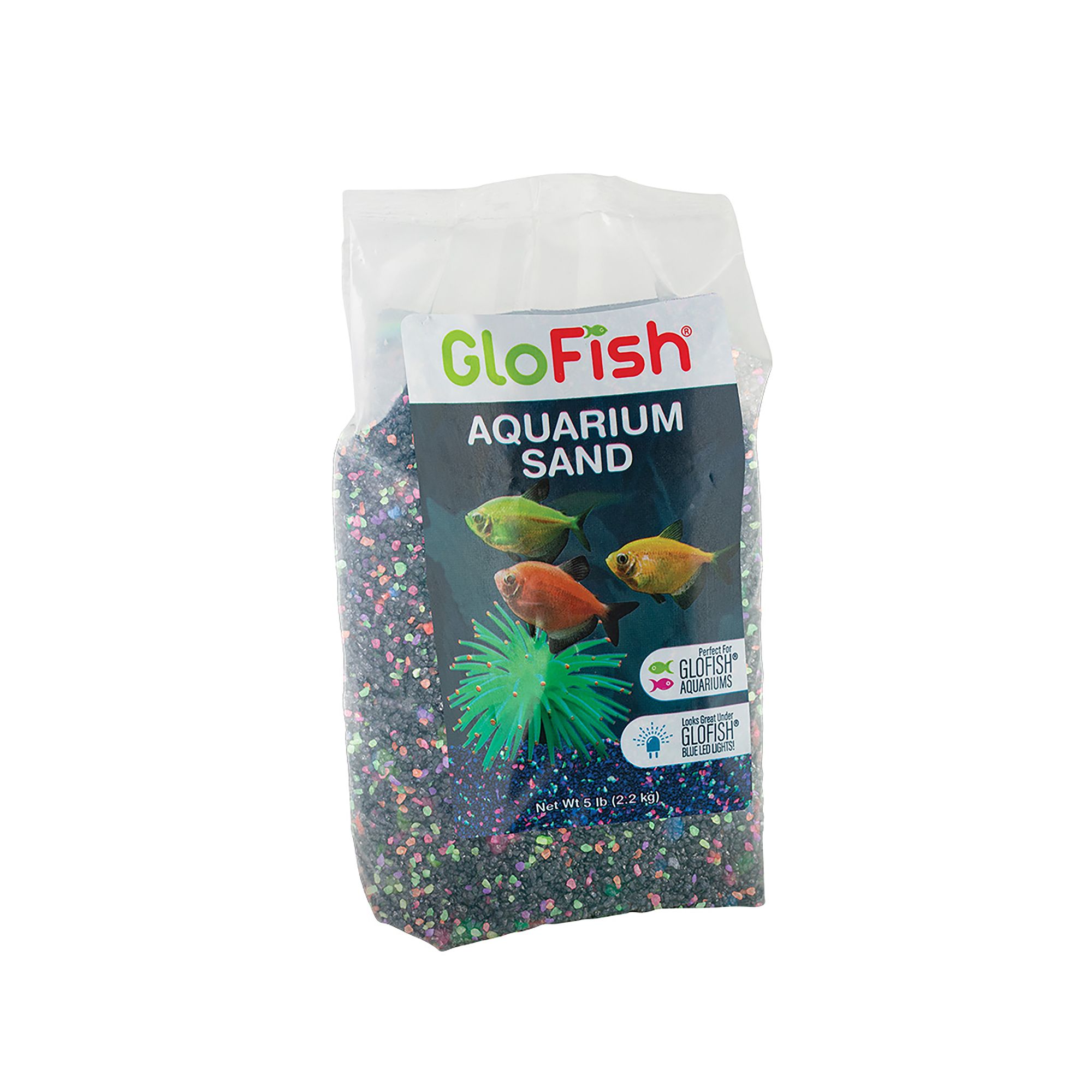 Glofish petsmart canada best sale