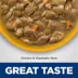 Hill's Science Diet Senior Vitality 7+ Senior Wet Dog Food - Chicken & Vegetable Stew, 12.5 oz image thumbnail 3