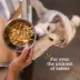 Bil-Jac Picky No More Pate Adult Wet Dog Food - Chicken & Chicken Liver, 13 oz image thumbnail 5