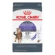 Product Royal Canin Feline Care Nutrition Apetite Control Adult Cat Dry Food