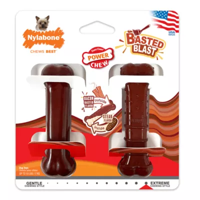 Product Nylabone® Power Chew Basted Blast Dog Toy - 2 Pack, Bacon & Steak Flavor