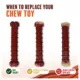 Product Nylabone® Power Chew Basted Blast Dog Toy - 2 Pack, Bacon & Steak Flavor