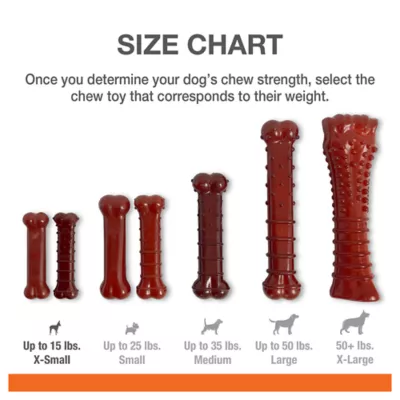 Product Nylabone® Power Chew Basted Blast Dog Toy - 2 Pack, Bacon & Steak Flavor