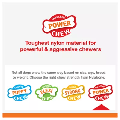 Product Nylabone® Power Chew Basted Blast Dog Toy - 2 Pack, Bacon & Steak Flavor