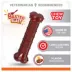 Nylabone® Power Chew Basted Blast  Dog Toy, Bacon & Steak Flavor image thumbnail 2