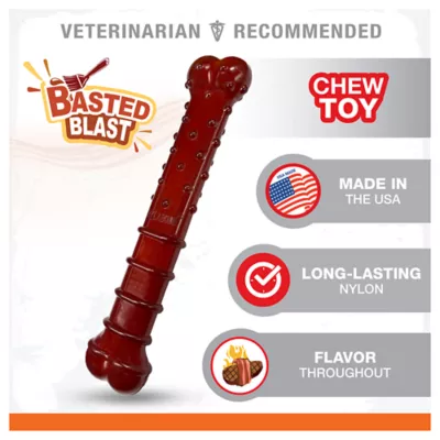 Product Nylabone® Power Chew Basted Blast Dog Toy - Bacon & Steak Flavor