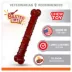 Nylabone® Power Chew Basted Blast  Dog Toy, Bacon & Steak Flavor image thumbnail 2