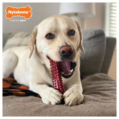 Product Nylabone® Power Chew Basted Blast Dog Toy - Bacon & Steak Flavor