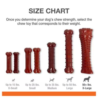 Product Nylabone® Power Chew Basted Blast Dog Toy - Bacon & Steak Flavor