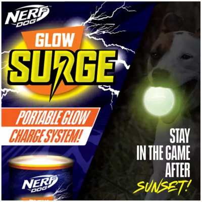 Product Nerf Dog™ Glow Ball Dog Toy - 2 Pack