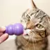 KONG® Kitty KONG Cat Toy - Treat Dispensing image thumbnail 2