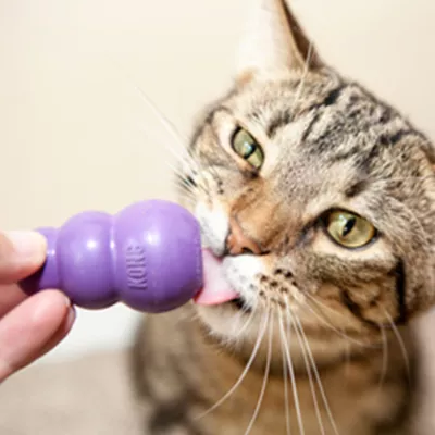 Kong Kitty Kong Treat Dispensing Cat Toy Kong Kitty Kong Treat Dispensing Cat Toy