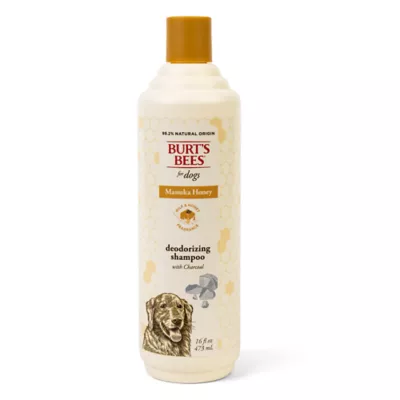 Burts Bees Manuka Honey Deodorizing Dog Shampoo - Wwith Charcoal, 16oz - Image 1
