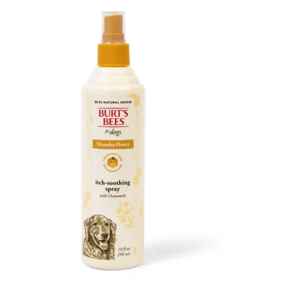 Burts Bees Manuka Honey Itch Soothing Spray - With Chamomile, 10oz - Image 1