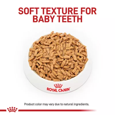 Product Royal Canin Size Health Nutrition Large Breed Puppy Dog Wet Food - 13 oz