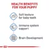 Royal Canin Size Health Nutrition Large Breed Puppy Dog Wet Food - 13 oz image thumbnail 3