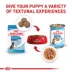 Royal Canin Size Health Nutrition Large Breed Puppy Dog Wet Food - 13 oz image thumbnail 5